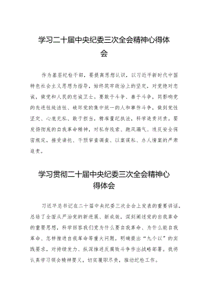 2024年二十届中央纪委三次全会精神学习心得体会十九篇.docx