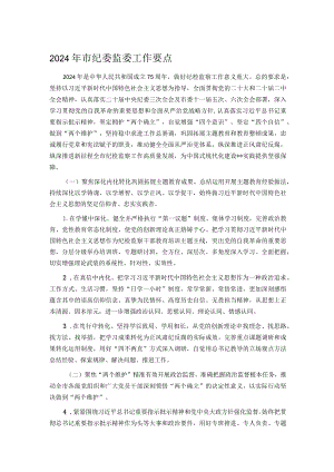 2024年市纪委监委工作要点.docx