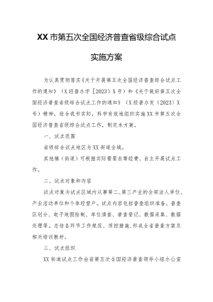 XX市第五次全国经济普查省级综合试点实施方案.docx