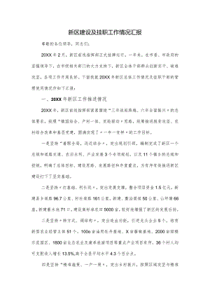 新区建设及挂职工作情况汇报.docx