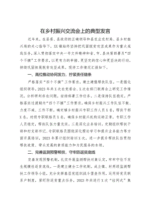 在乡村振兴交流会上的典型发言.docx