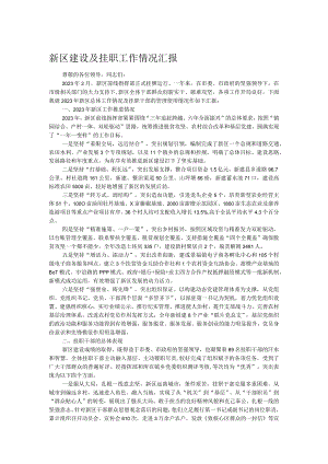 新区建设及挂职工作情况汇报.docx