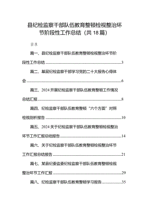 县纪检监察干部队伍教育整顿检视整治环节阶段性工作总结（共18篇）.docx