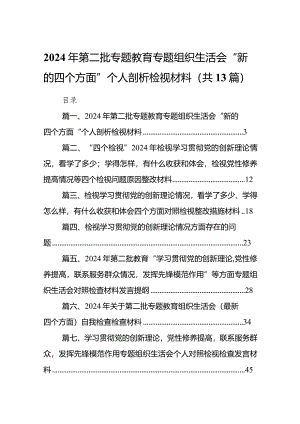 2024年第二批专题教育专题组织生活会“新的四个方面”个人剖析检视材料最新精选版【13篇】.docx