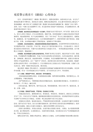观看警示教育片《瞒祸》心得体会.docx