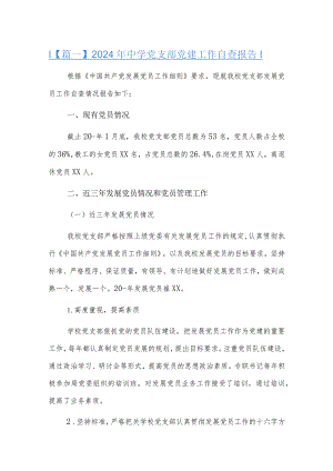 2024年中学党支部党建工作自查报告.docx
