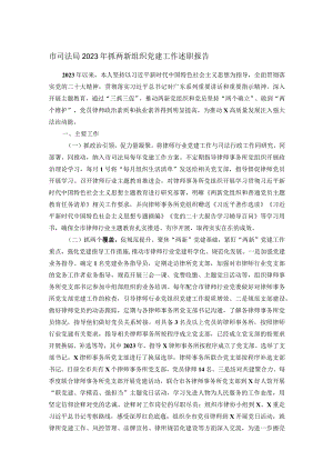 市司法局2023年抓两新组织党建工作述职报告.docx