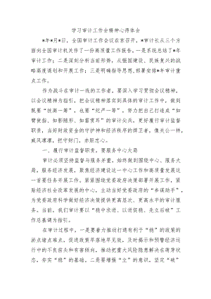 学习审计工作会精神心得体会.docx