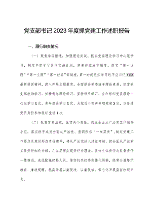 党支部书记2023年度抓党建工作述职报告01.docx