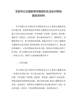 支部书记主题教育专题组织生活会对照检查发言材料.docx