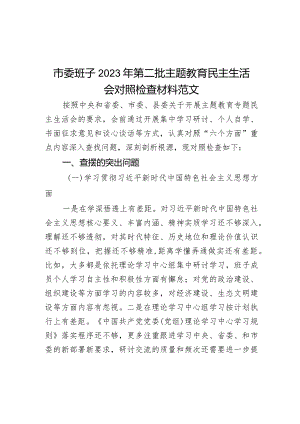 市委班子2023年第二批主题教育民主生活会对照检查材料范文.docx