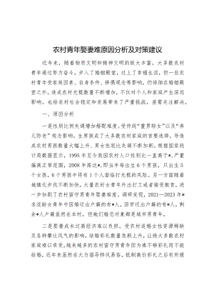 农村青年娶妻难原因分析及对策建议&十个全力干好、十个坚决不干.docx