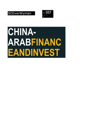 奥纬咨询-2023中国-阿拉伯金融与投资报告（英）_市场营销策划_重点报告202301204_doc.docx