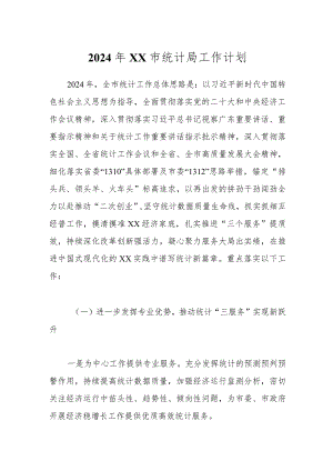 2024年XX市统计局工作计划.docx