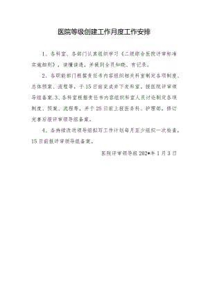 医院等级创建工作月度工作安排.docx