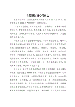 专题研讨班学习心得体会.docx