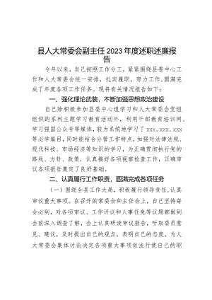 县人大常委会副主任2023年度述职述廉报告.docx