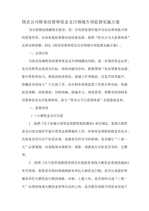 国企公司财务结算和资金支付领域专项监督实施方案.docx