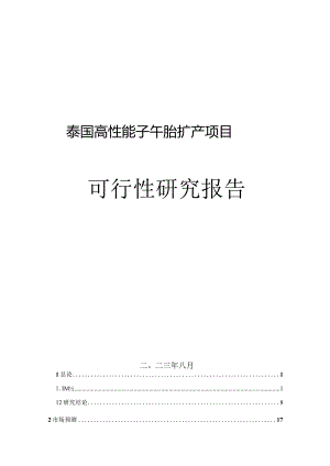 泰国高性能子午胎扩产项目可行性研究报告.docx