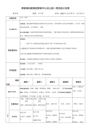 薛家镇幼教集团薛家中心幼儿园一周活动计划表.docx
