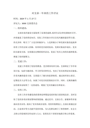 对支部一年来的工作评议.docx