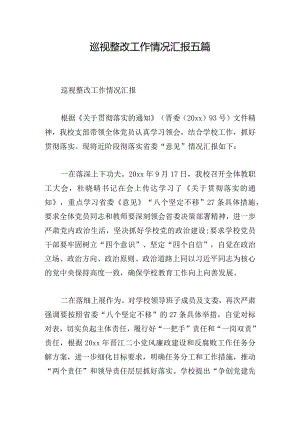 巡视整改工作情况汇报五篇.docx