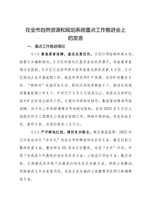 在全市自然资源和规划系统重点工作推进会上的发言.docx
