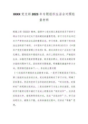 XXXX党支部2023年专题组织生活会对照检查材料.docx