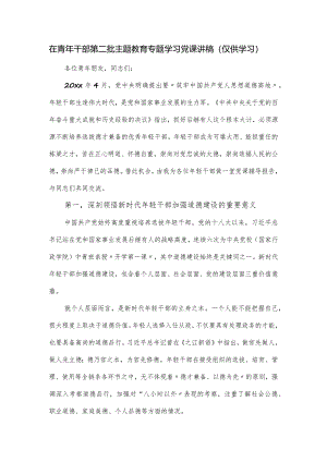 在青年干部第二批主题教育专题学习党课讲稿.docx