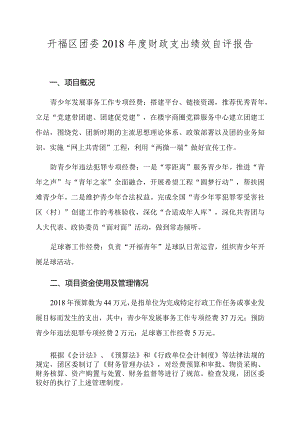 开福区团委2018年度财政支出绩效自评报告.docx