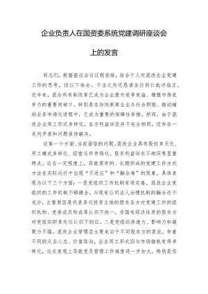 企业负责人在国资委系统党建调研座谈会上的发言.docx