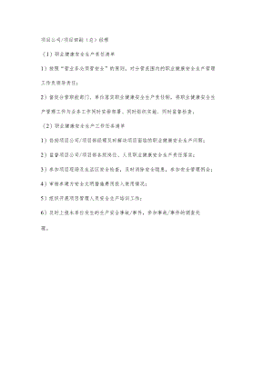 项目部副（总）经理职业健康安全生产责任清单及工作任务清单.docx