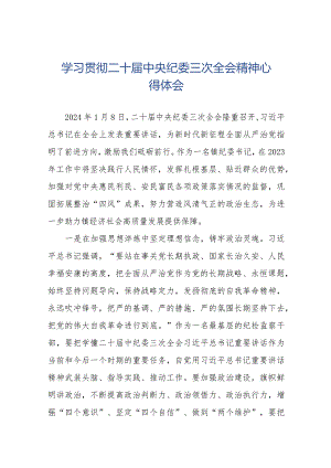 学习二十届中央纪委三次全会精神心得体会交流发言十九篇.docx