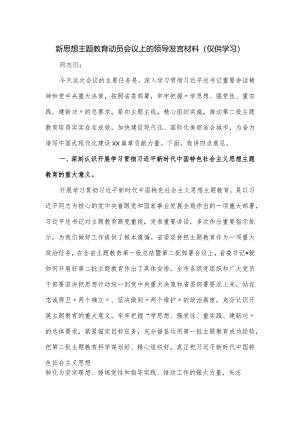 新思想主题教育动员会议上的领导发言材料.docx