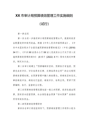 XX市审计局预算绩效管理工作实施细则.docx