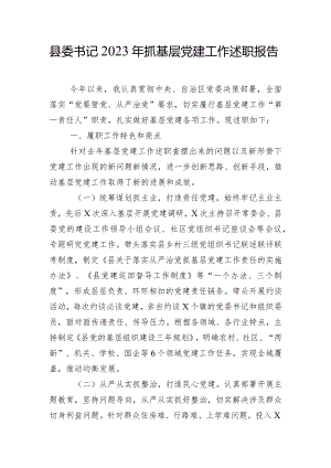 县委书记2023年抓基层党建工作述职报告.docx