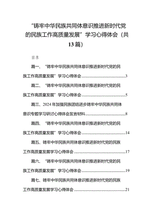 “铸牢中华民族共同体意识推进新时代党的民族工作高质量发展”学习心得体会范文13篇（完整版）.docx