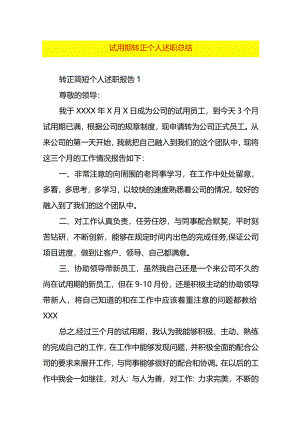 试用期转正个人述职总结.docx