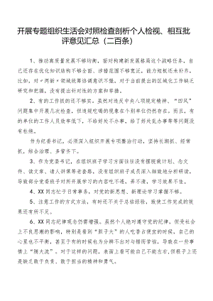 开展专题组织生活会对照检查剖析个人检视、相互批评意见汇总（二百条）.docx