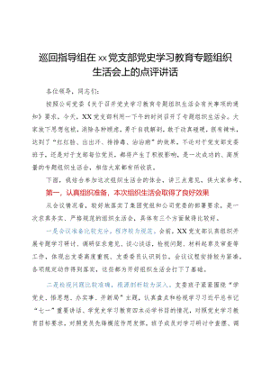 巡回指导组在党支部党史学习教育专题组织生活会上的点评讲话.docx