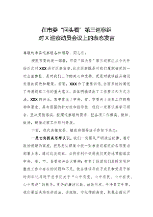 在市委“回头看”第三巡察组的表态发言.docx