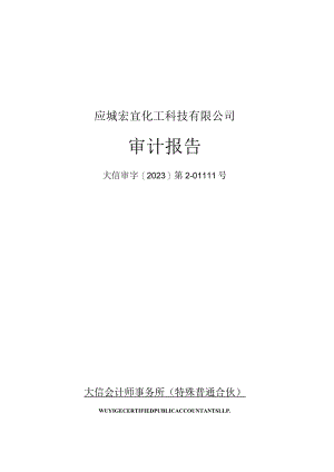 双环科技：应城宏宜化工科技有限公司2023年1-9月、2022年度、2021年度审计报告.docx