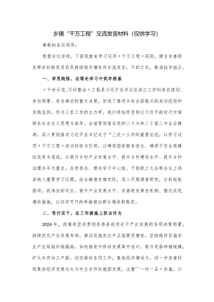 乡镇“千万工程”交流发言材料.docx