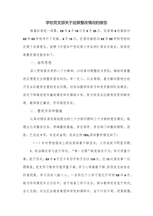 学校党支部关于巡察整改情况的报告.docx