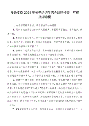 多条实例2024年关于组织生活会对照检查、互相批评意见.docx