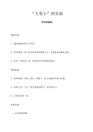 “大变小”的实验.docx