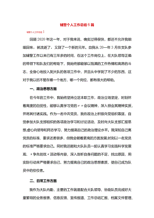 辅警个人工作总结6篇.docx