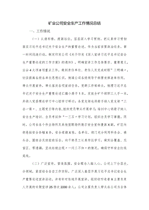 矿业公司安全生产工作情况总结.docx