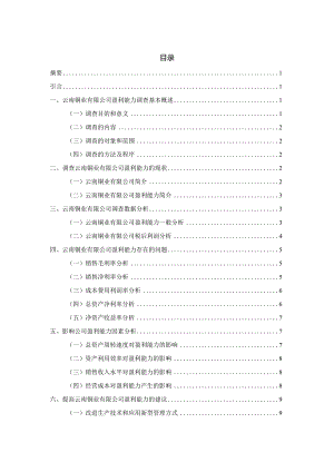 云南铜业有限公司盈利能力调查分析报告 工商管理专业论文.docx