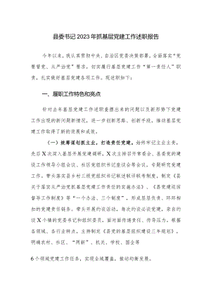 书记2023年抓基层党建工作述职报告参考范文.docx